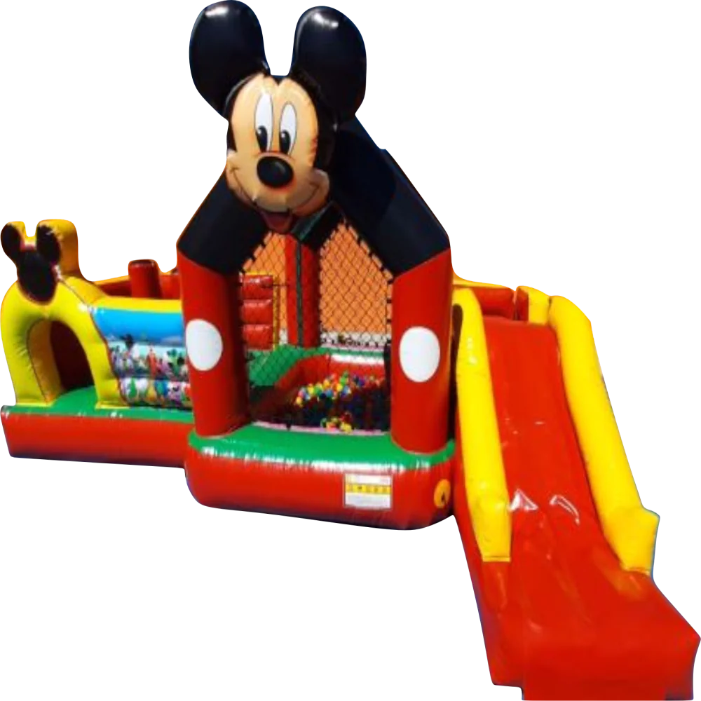 Multi-Park Mikey Mouse