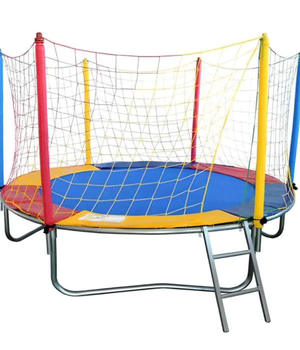 WhatsApp Image 2025-02-10 at 11.59.46